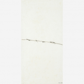 Foto da obra